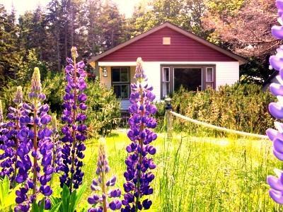 Goodview Cottages By Stanhope Beach Pei For Adults Only Dış mekan fotoğraf