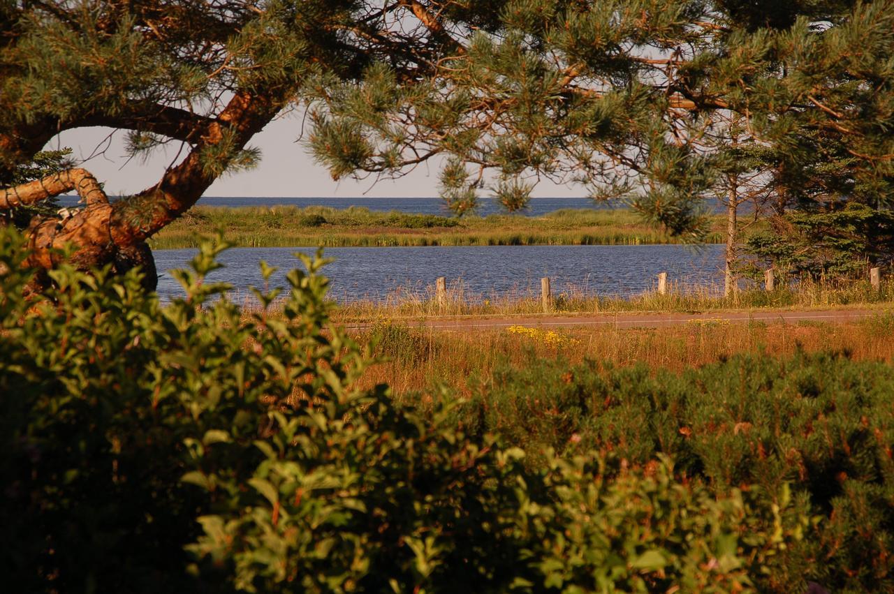 Goodview Cottages By Stanhope Beach Pei For Adults Only Dış mekan fotoğraf